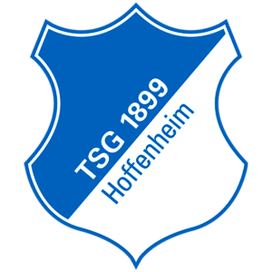Escudo Hoffenheim