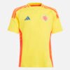 Colombia 2024 1-1 Camiseta Colombia 2ª 2024