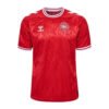 Dinamarca 2024 1-1 Camiseta Dinamarca 1ª 2024