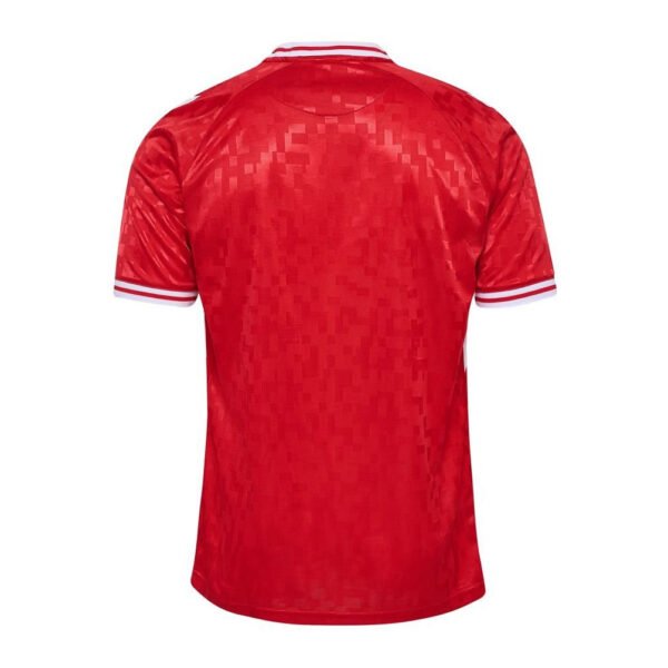 Dinamarca 2024 1-2 Camiseta Dinamarca 1ª 2024