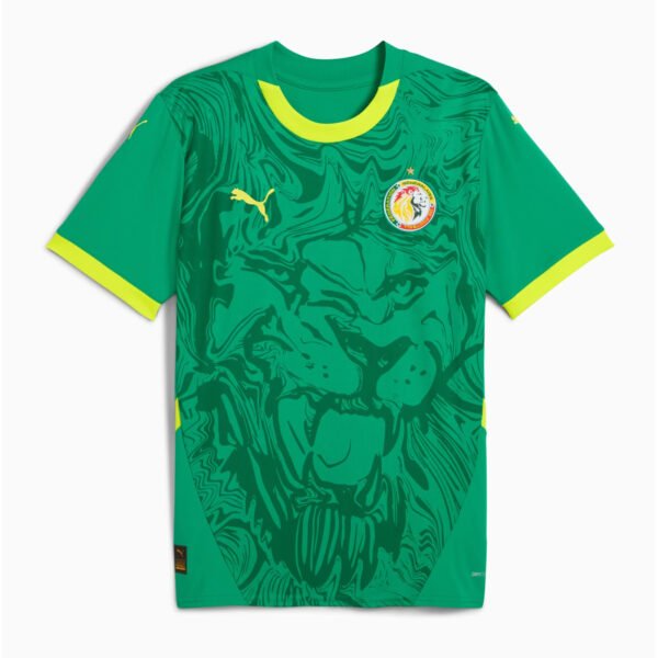 Senegal 2024 2-1 Camiseta Senegal 2ª 2024