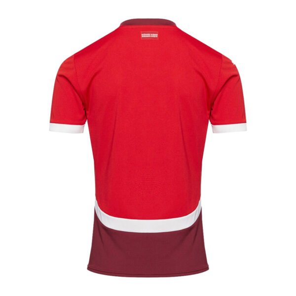 Suiza 2024 1-2 Camiseta Suiza 1ª 2024